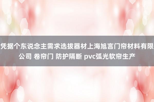 凭据个东说念主需求选拔器材上海旭言门帘材料有限公司 卷帘门 防护隔断 pvc弧光软帘生产