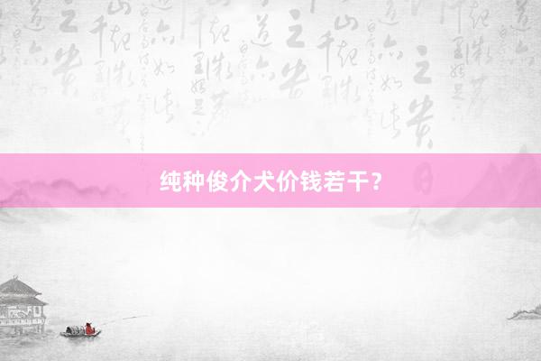 纯种俊介犬价钱若干？