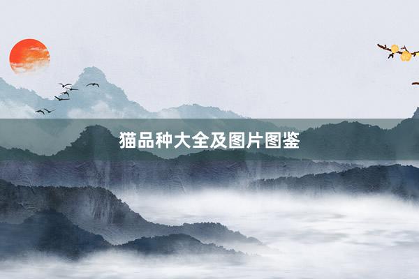 猫品种大全及图片图鉴