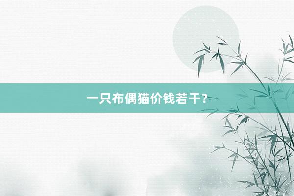 一只布偶猫价钱若干？